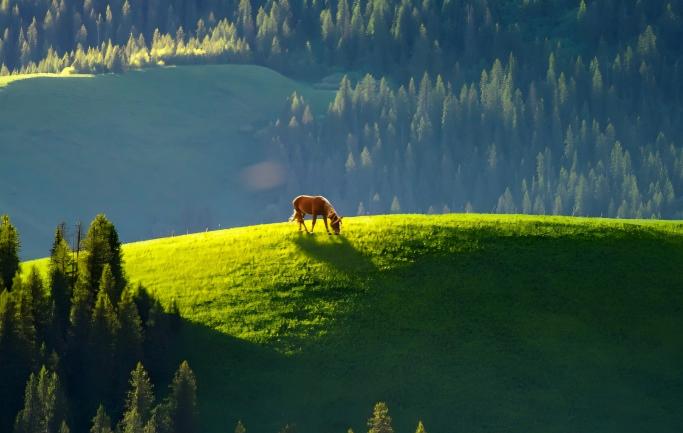 森森不息 AI智守锦州青山