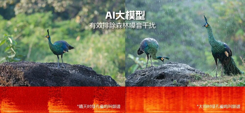 微信图片_2026-06-01_171944_755.jpg